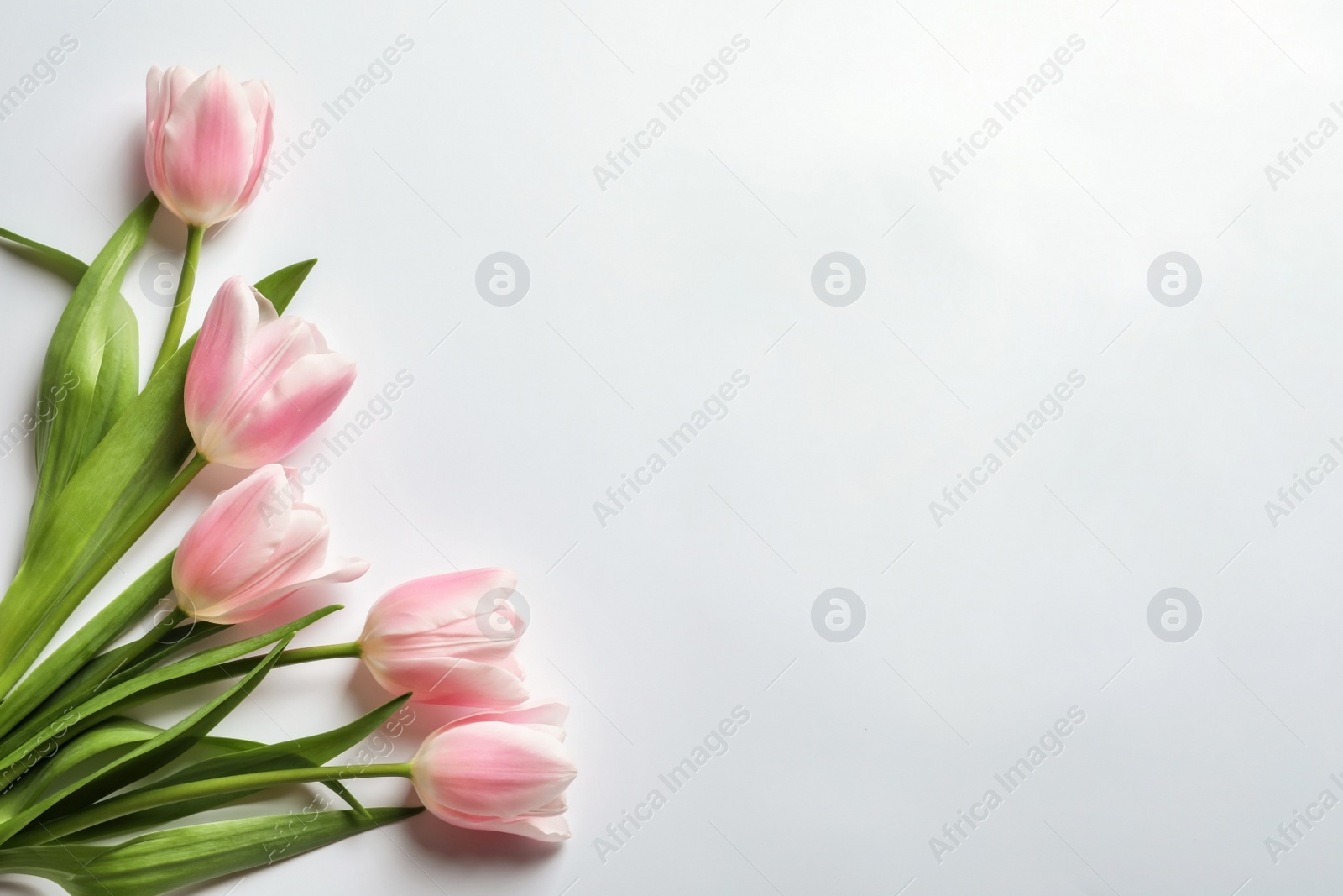 Photo of Beautiful tulips for Mother's Day on light background, top view