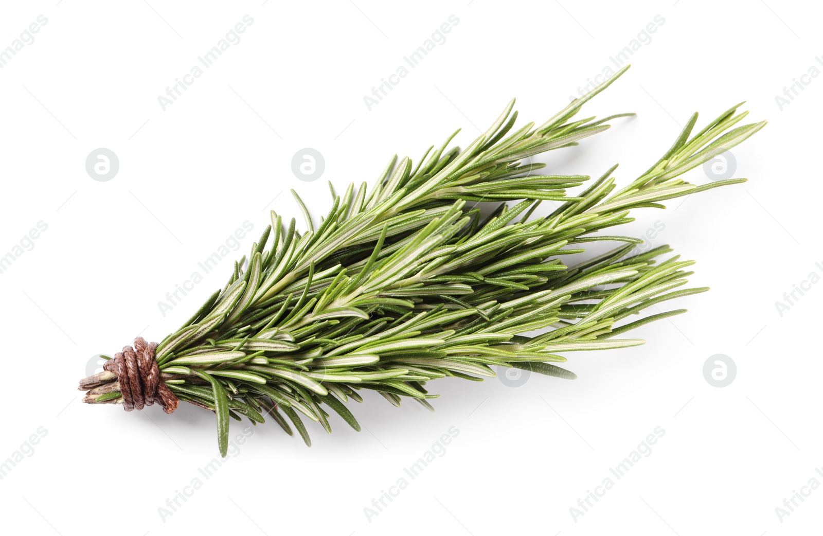 Photo of Bunch of fresh rosemary isolated on white, top view