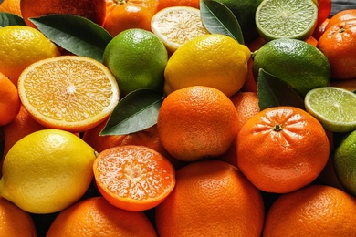 Photo of Different citrus fruits with leaves as background, closeup