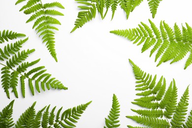 Photo of Beautiful tropical fern leaves on white background, top view. Space for text
