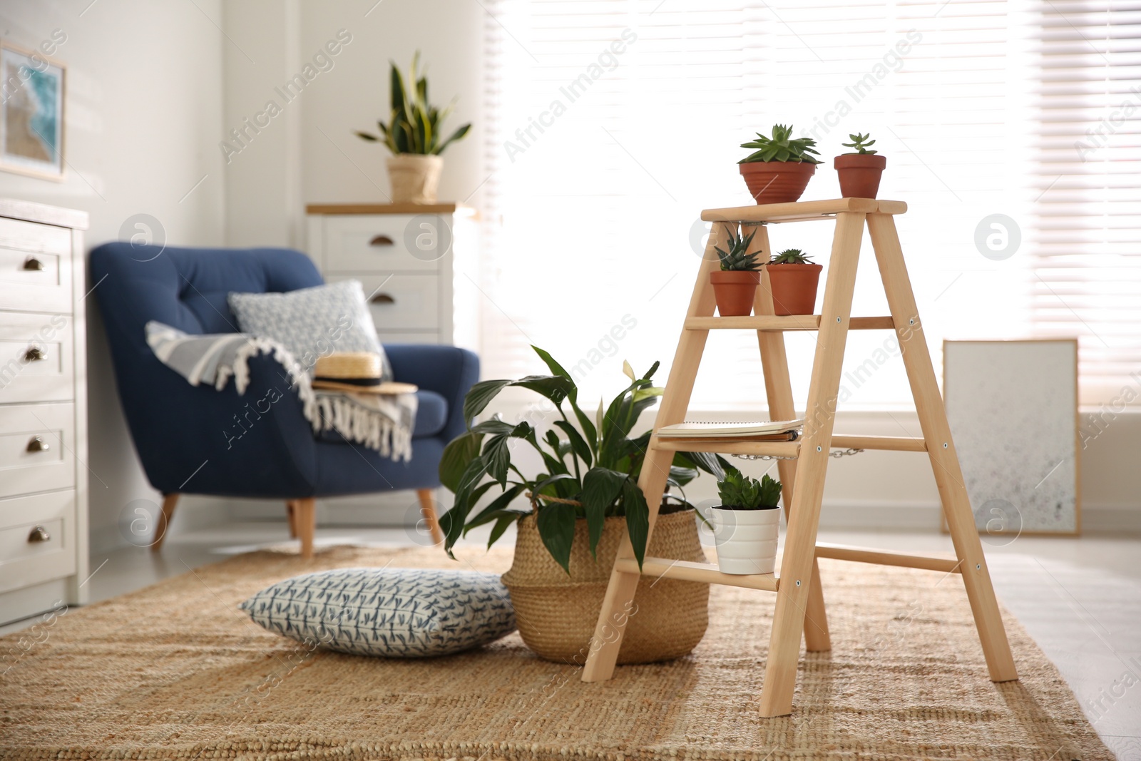 Photo of Stylish living room interior with wooden ladder and houseplants