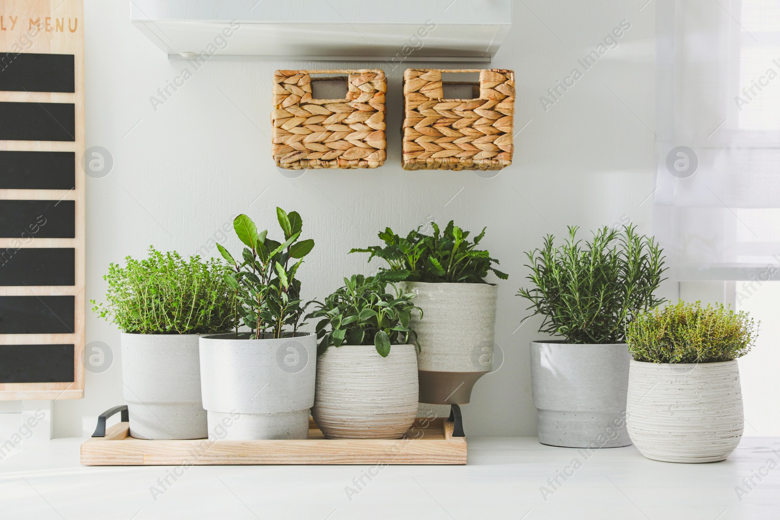 Photo of Different aromatic potted herbs on white table indoors