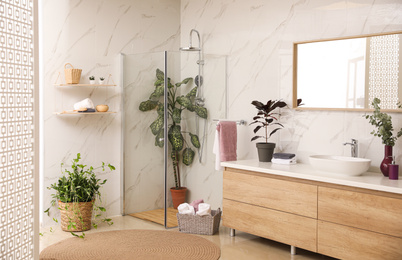 Stylish bathroom interior with countertop, shower stall and houseplants. Design idea