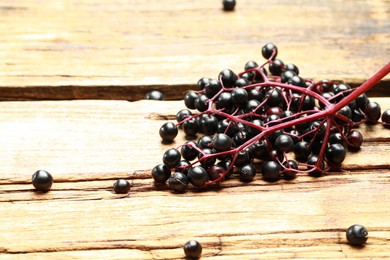 Photo of Black elderberries (Sambucus) on wooden table, closeup. Space for text