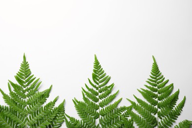 Photo of Beautiful tropical fern leaves on white background, top view
