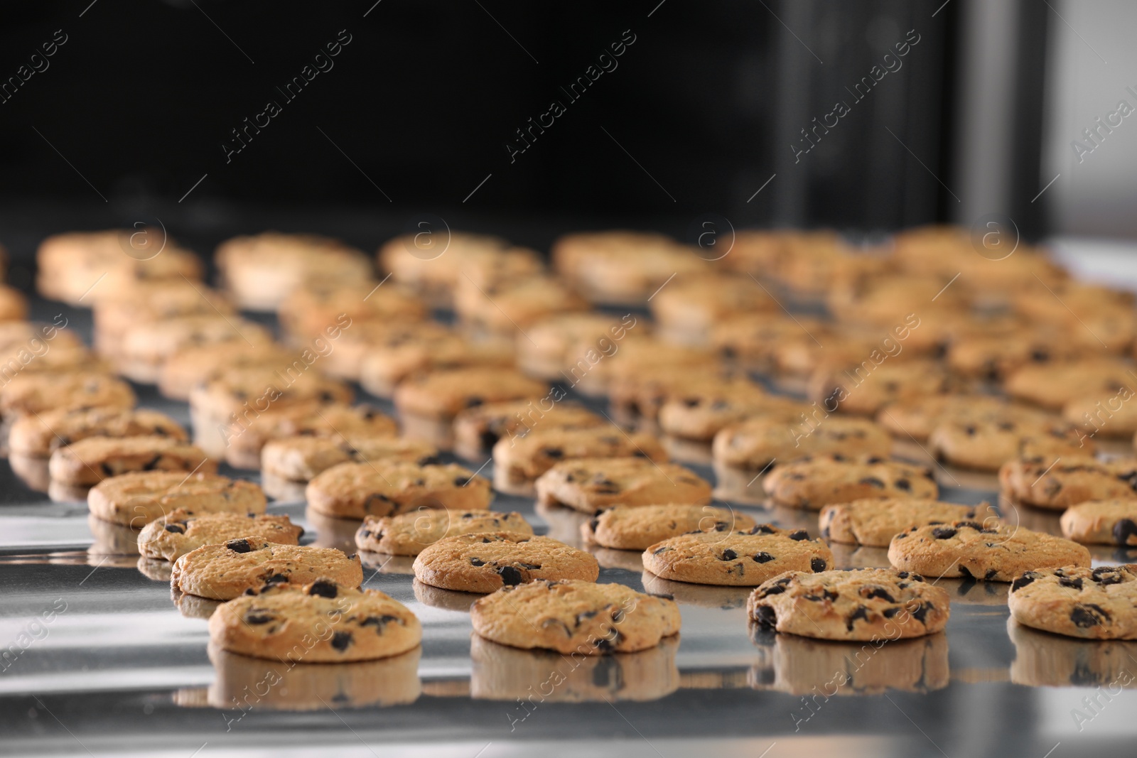 Photo of Many delicious cookies on production line, closeup