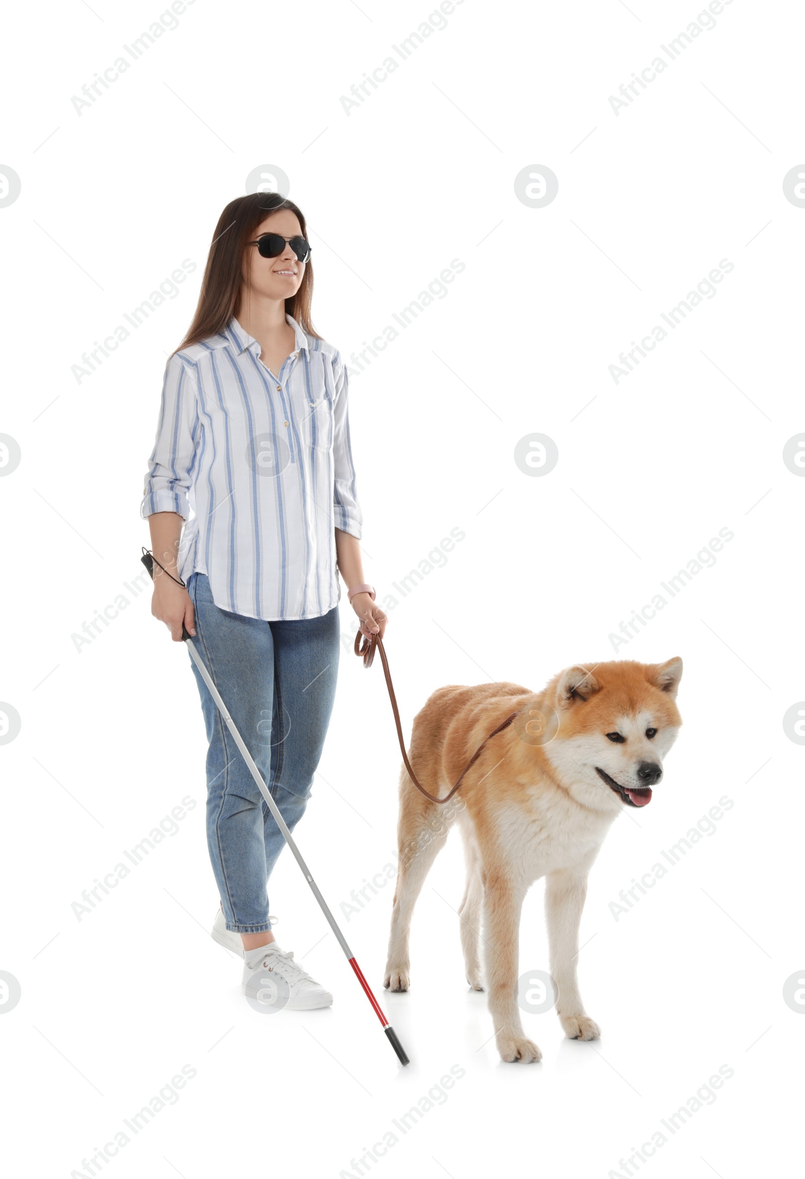 Photo of Blind woman with walking stick and dog on leash against white background