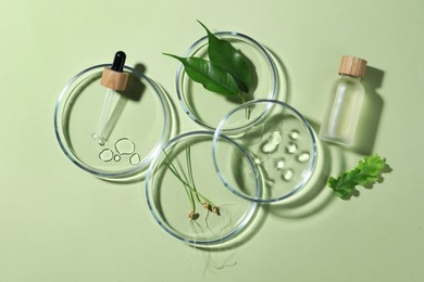 Flat lay composition with Petri dishes and plants on pale light green background