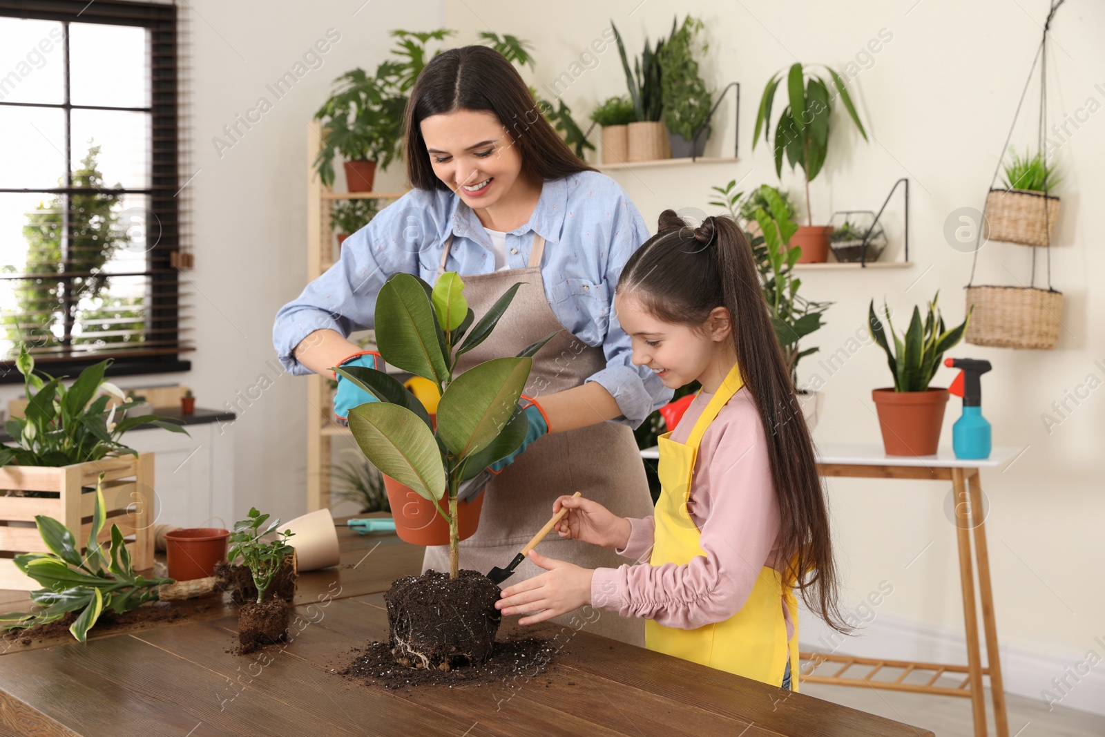 Photo of Mother and daughter taking care of plant at home