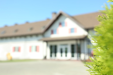 Green plant and blurred view of stylish building on sunny day