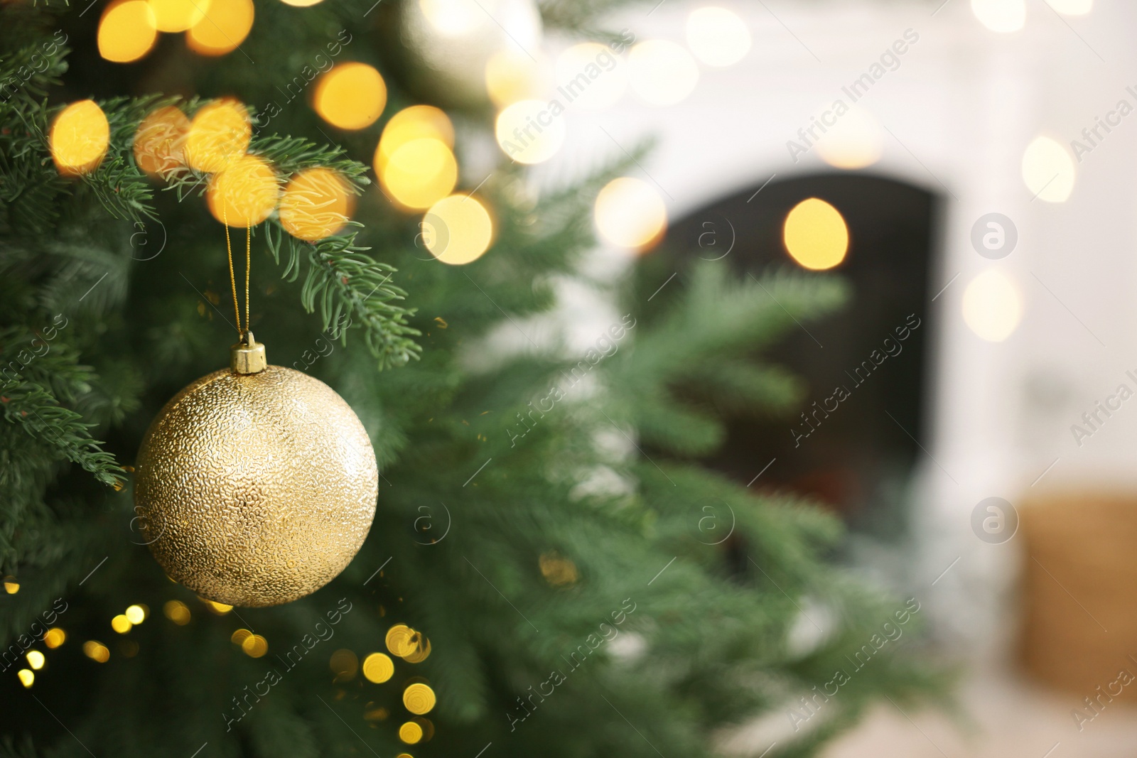 Photo of Christmas ball hanging on fir tree branch indoors, closeup. Space for text