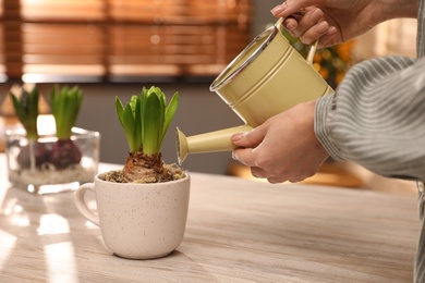 Photo of Woman watering hyacinth flower at white wooden table, closeup