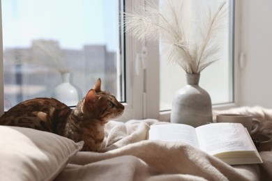 Cute Bengal cat, decor and book on windowsill at home. Adorable pet