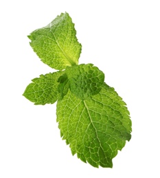 Photo of Fresh green mint leaves on white background