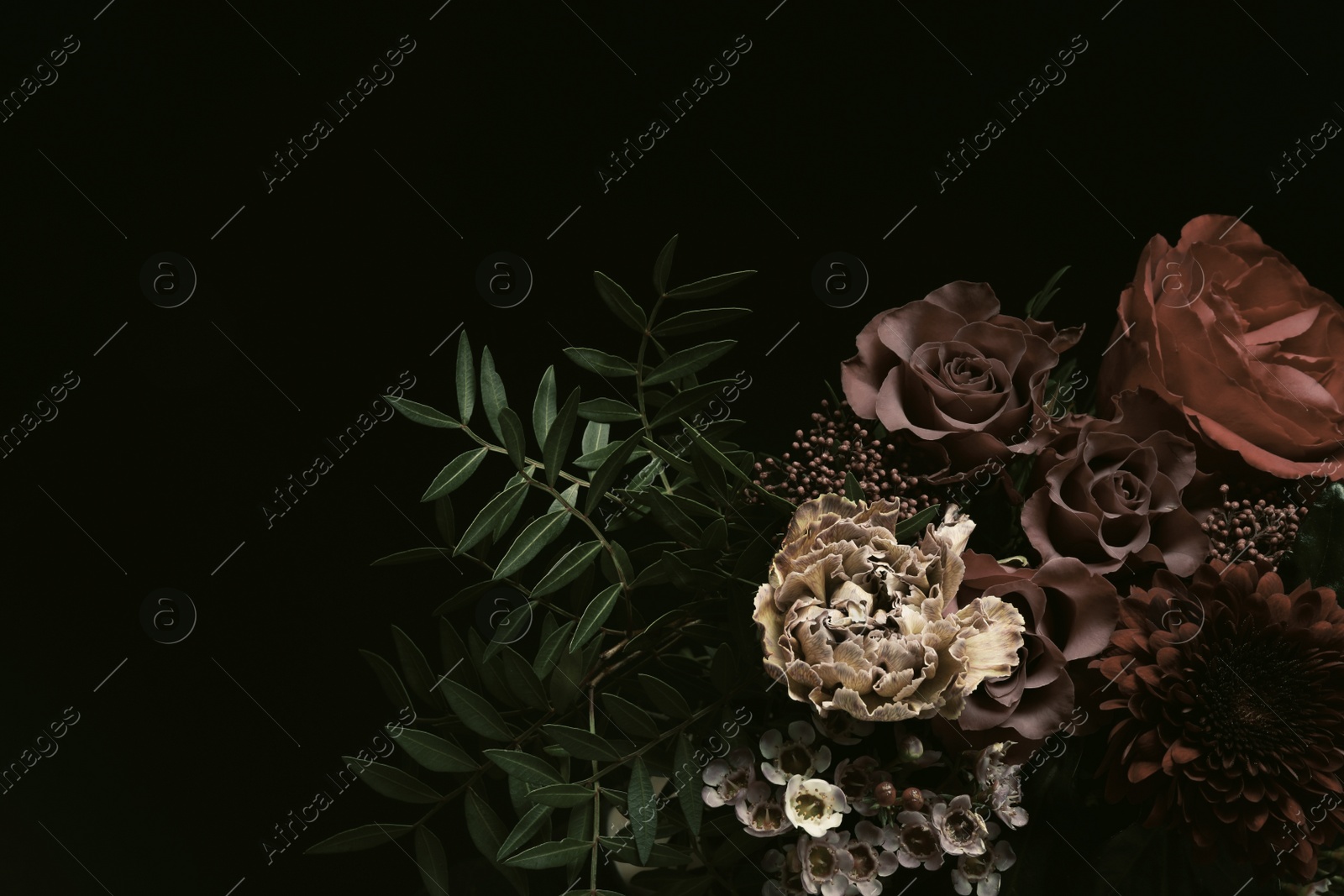 Photo of Beautiful fresh flowers on black background. Floral card design with dark vintage effect