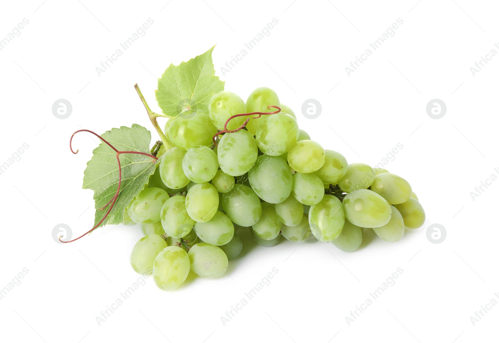 Photo of Fresh ripe grapes and leaves isolated on white