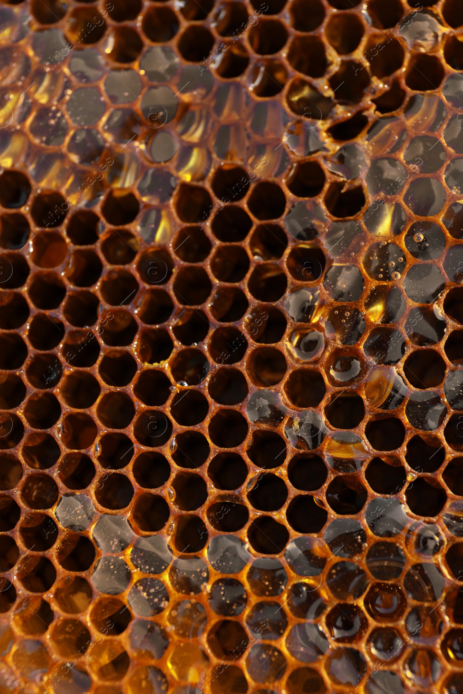 Photo of Uncapped filled honeycomb as background, closeup view