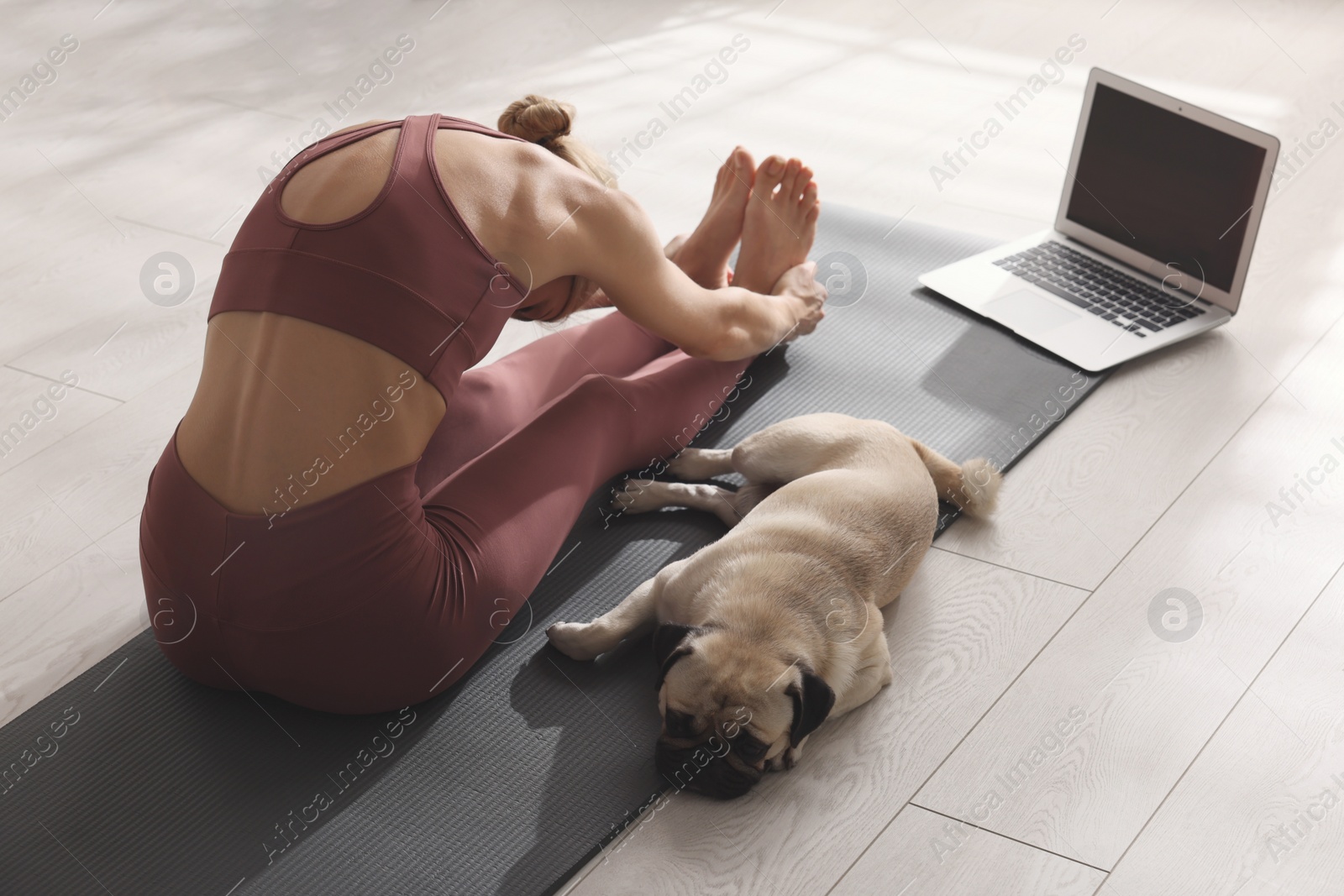 Photo of Woman with dog following online yoga class at home, back view