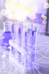 Many test tubes in rack on table, closeup. Laboratory glassware