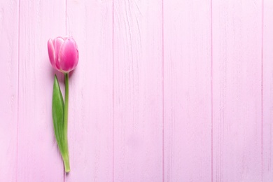 Photo of Beautiful spring tulip on wooden background, top view with space for text. International Women's Day