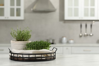 Photo of Beautiful potted microgreens on white table in kitchen, space for text