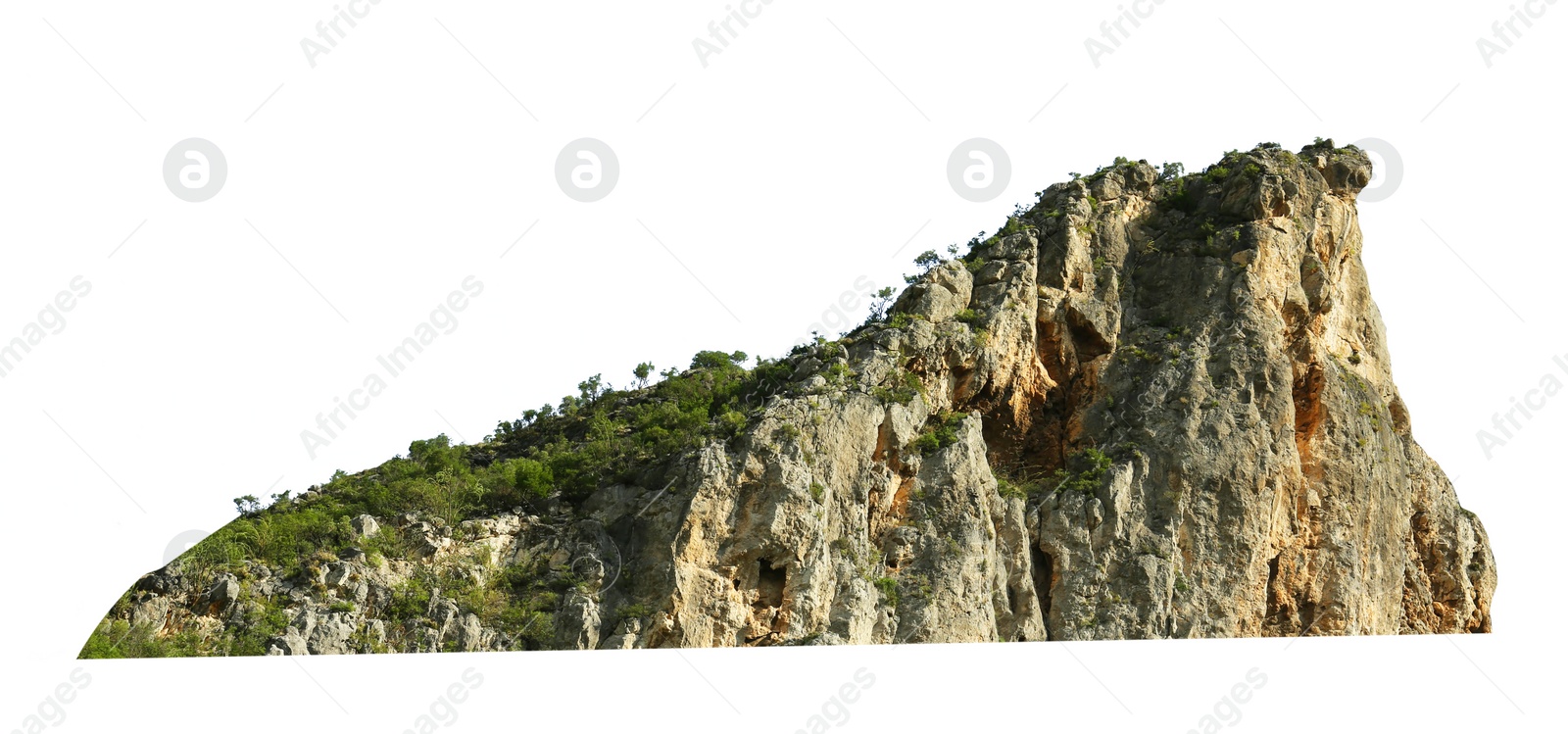 Image of Beautiful mountain hill with green trees isolated on white