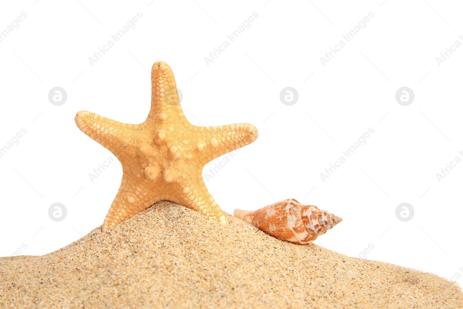 Photo of Beautiful sea star, shell and sand isolated on white