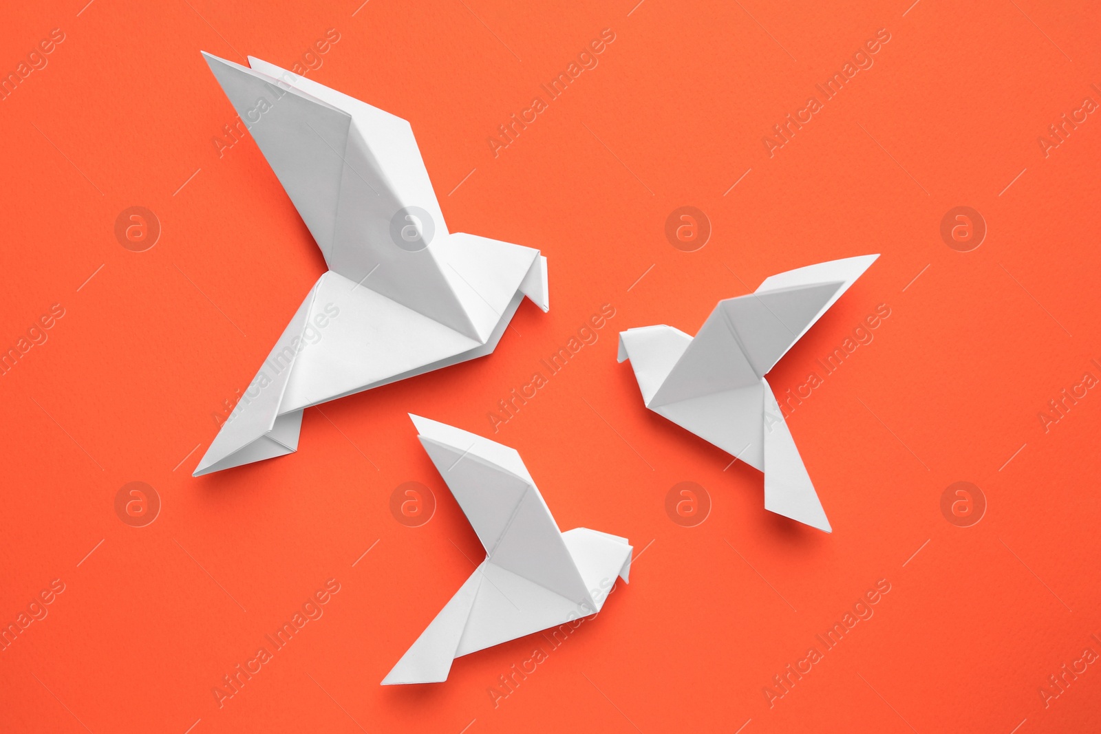 Photo of Beautiful white origami birds on orange background, flat lay