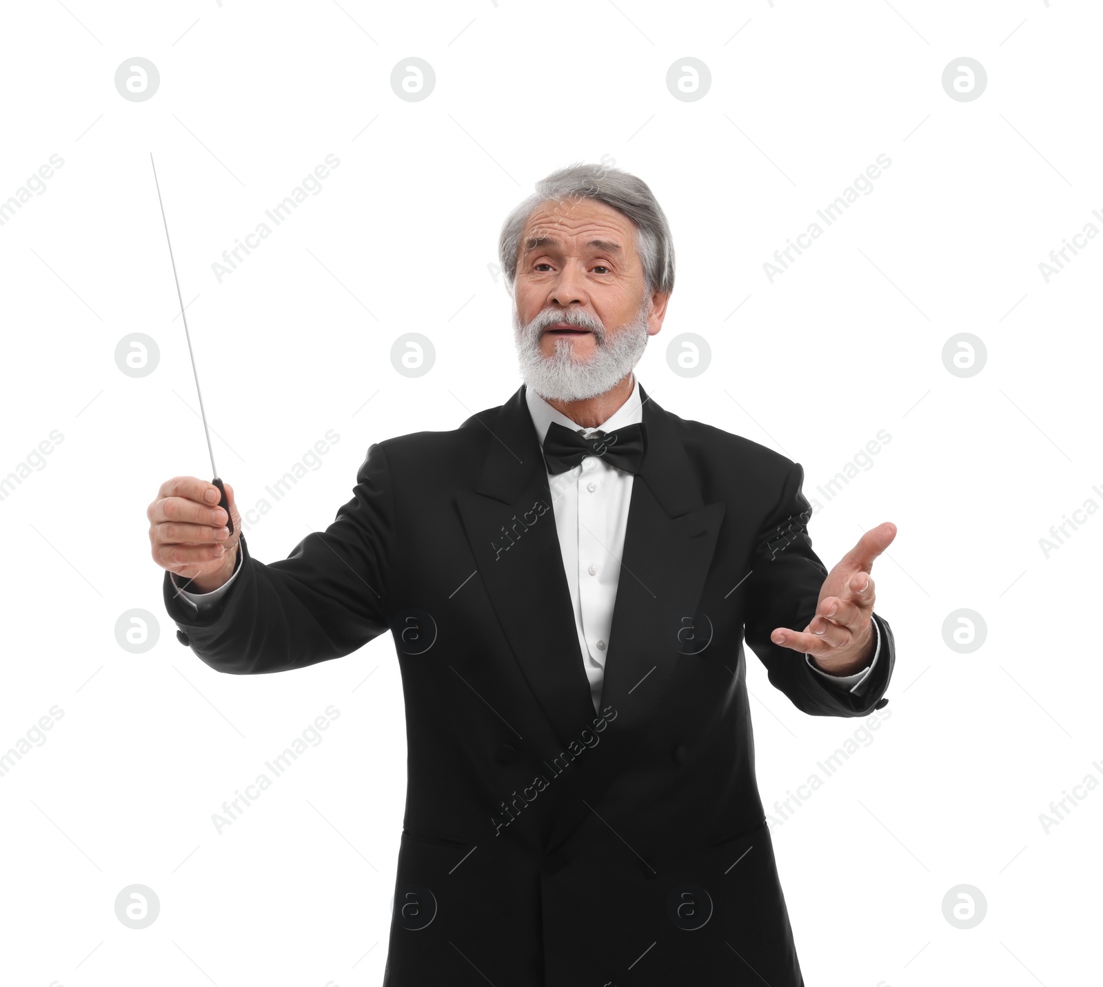 Photo of Professional conductor with baton on white background