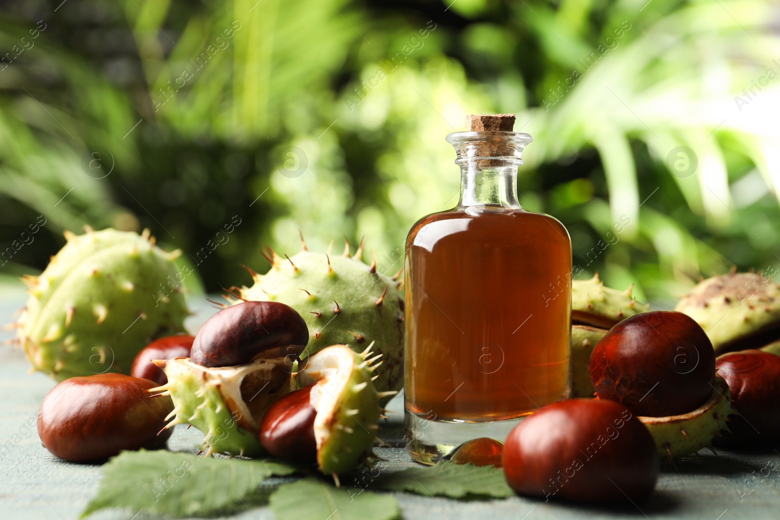 Photo of Chestnuts and bottle of essential oil on table against blurred background