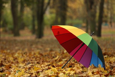 Photo of Open rainbow umbrella on fallen leaves in autumn park, space for text