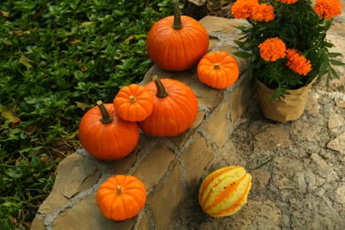 Many whole ripe pumpkins and potted flowers on stone curb in garden