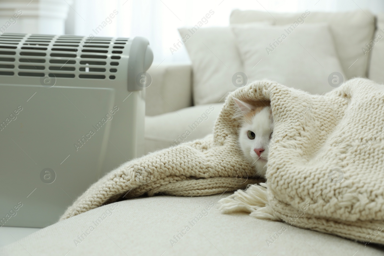 Photo of Adorable cat under plaid near modern electric heater indoors