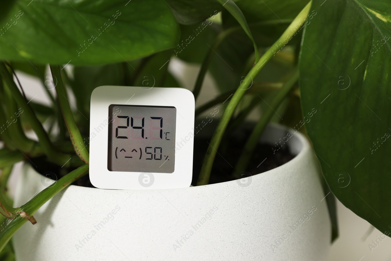 Photo of Digital hygrometer with thermometer on flower pot, closeup. Space for text