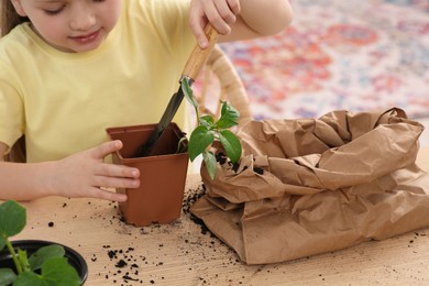 Photo of Little girl planting seedling into pot at wooden table indoors, closeup