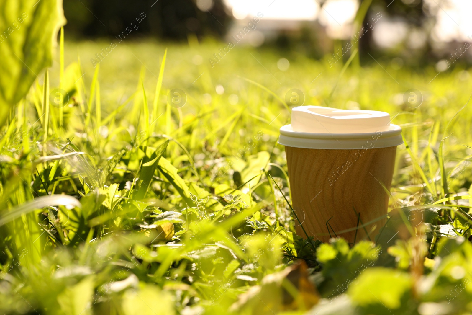 Photo of Paper cup on green grass outdoors, space for text. Coffee to go