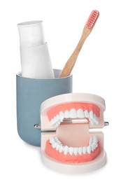 Photo of Educational dental typodont model with teeth near paste and brush in holder on white background