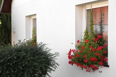 Photo of View of flower boxes on window sills outdoors