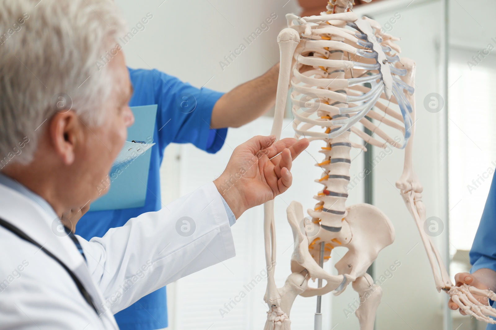 Photo of Professional orthopedist teaching medical students in clinic, closeup