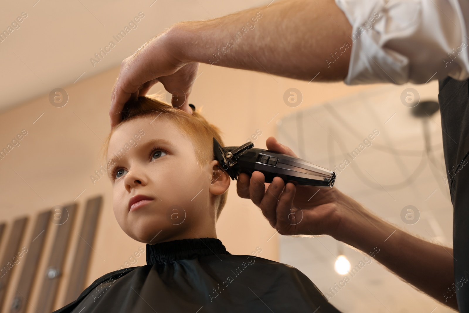 Photo of Professional hairdresser cutting boy's hair in beauty salon, low angle view