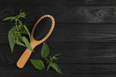 Photo of Stinging nettle and brush on black wooden background, flat lay with space for text. Natural hair care
