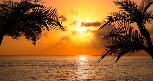 Image of Picturesque view of sea and palm trees at sunset