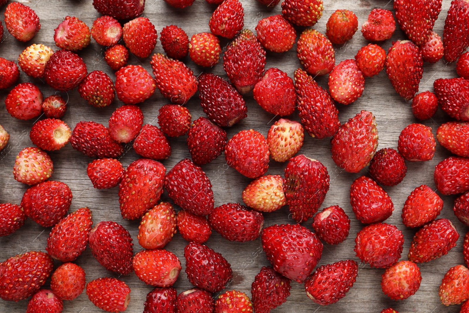 Photo of Many fresh wild strawberries on wooden table, flat lay