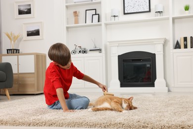 Photo of Little boy brushing cute ginger cat's fur on soft carpet at home