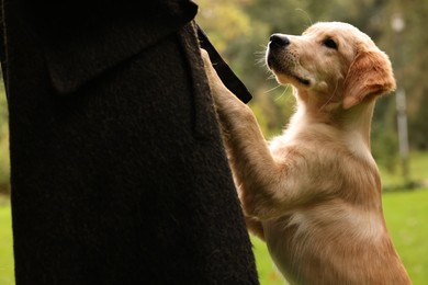 Photo of Woman with adorable Labrador Retriever puppy in park, closeup