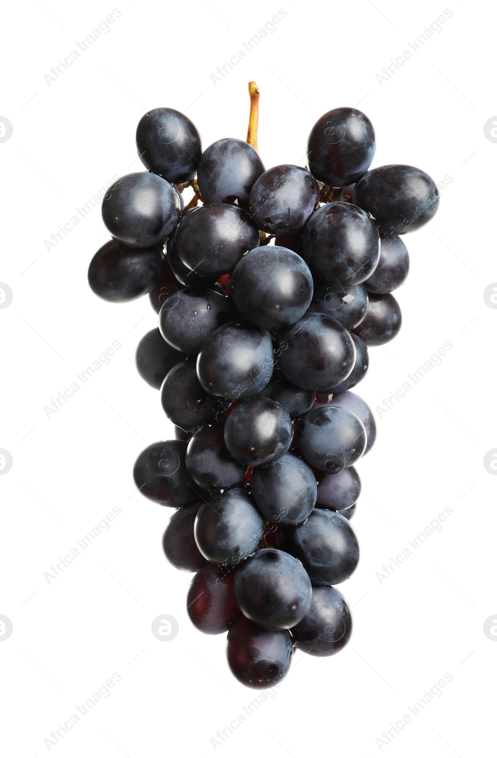 Photo of Bunch of fresh ripe juicy grapes isolated on white