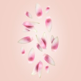 Image of White lotus flower petals falling on pink background