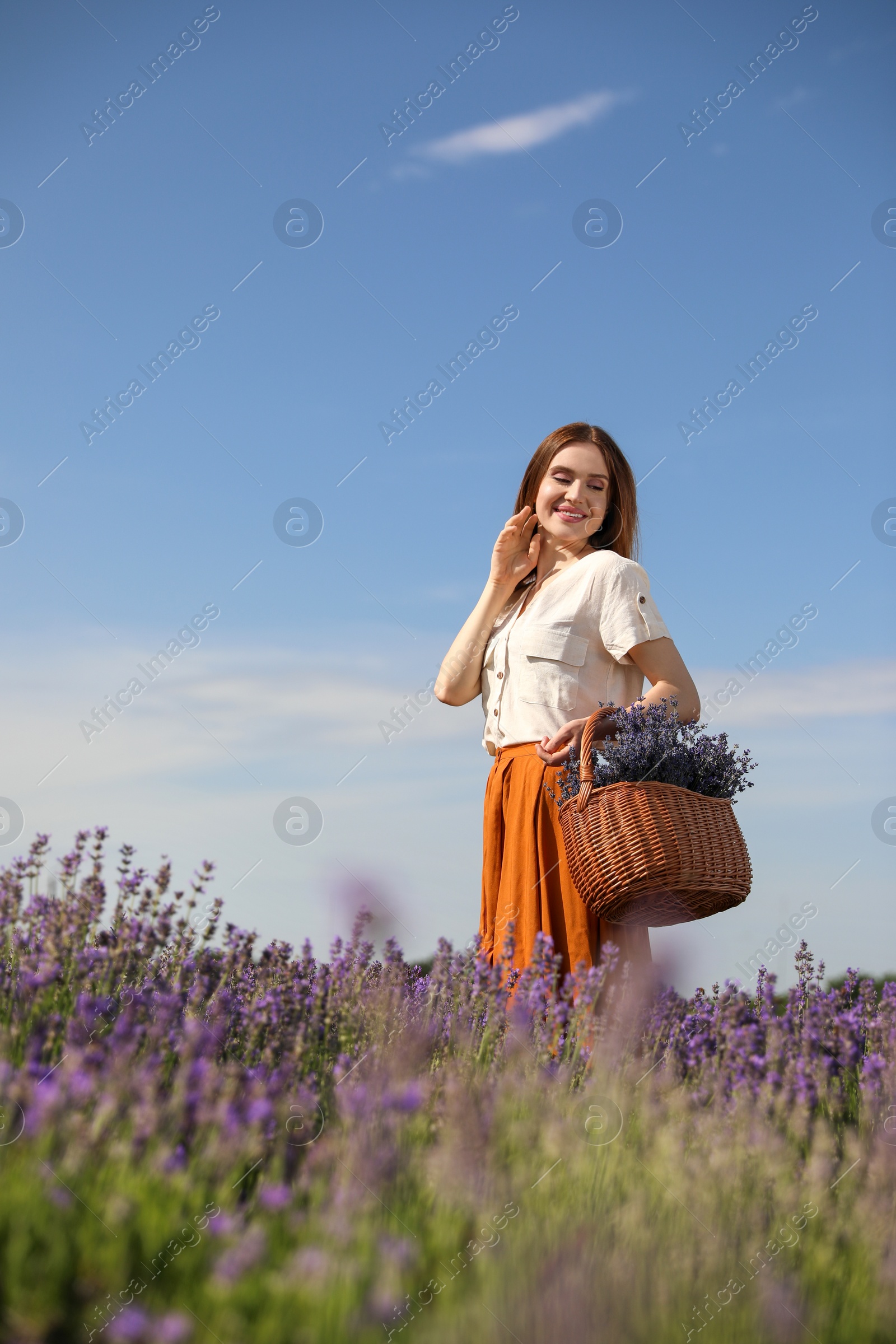 Photo of Young woman with wicker basket full of lavender flowers in field