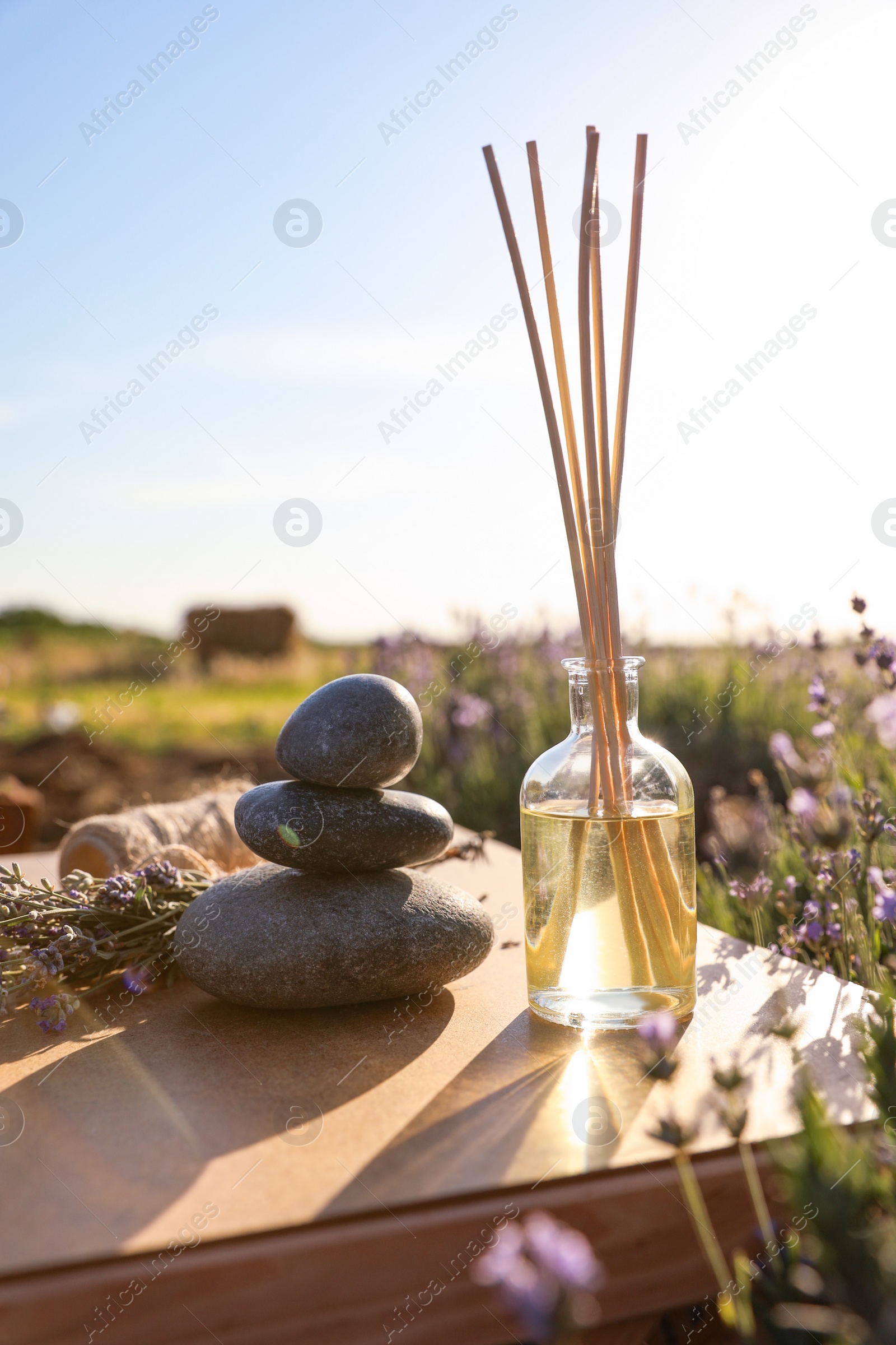 Photo of Composition with reed air freshener on wooden table in blooming lavender field