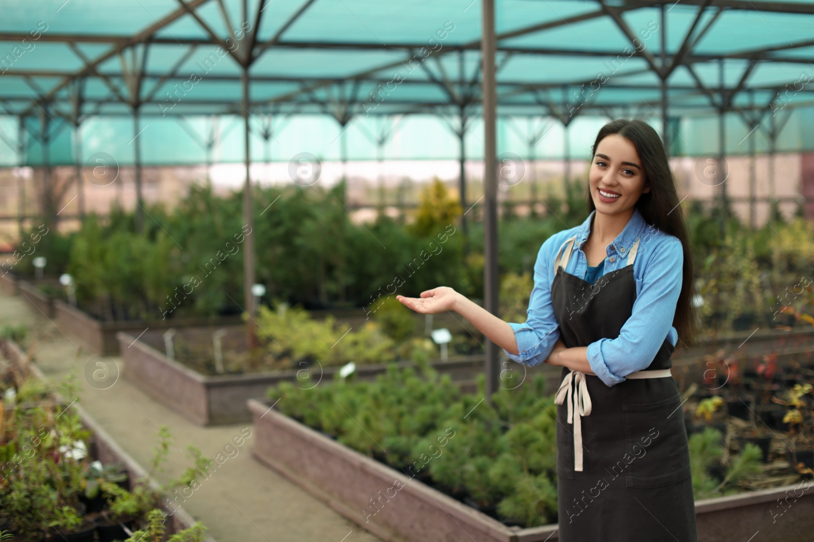 Photo of Female business owner showing her greenhouse. Space for text